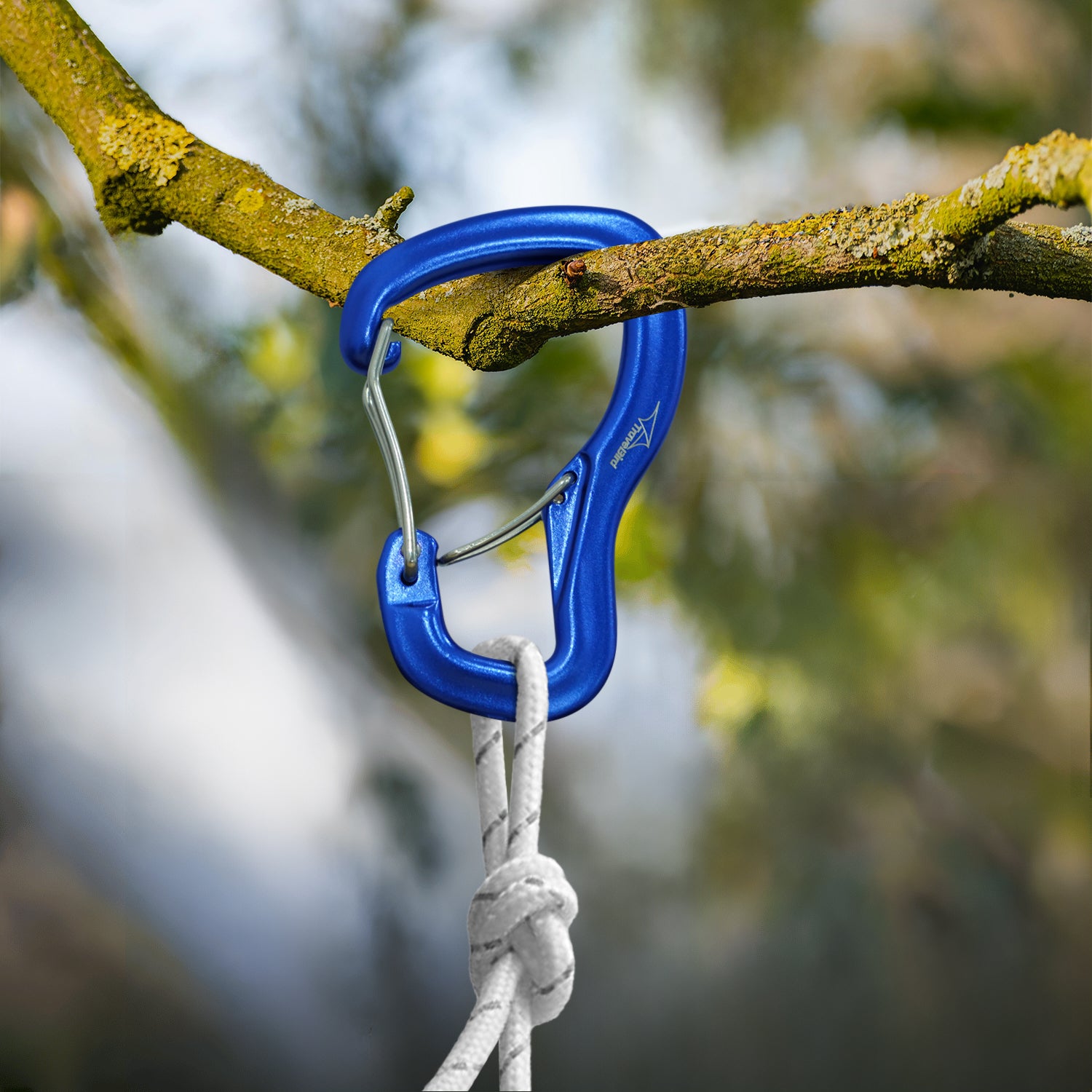 Aluminum Alloy Carabiner