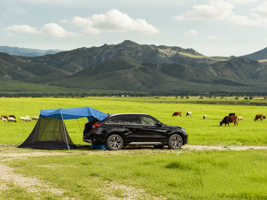What Is Car Camping? Your Ultimate Guide to Roadside Adventures and Essential Gear
